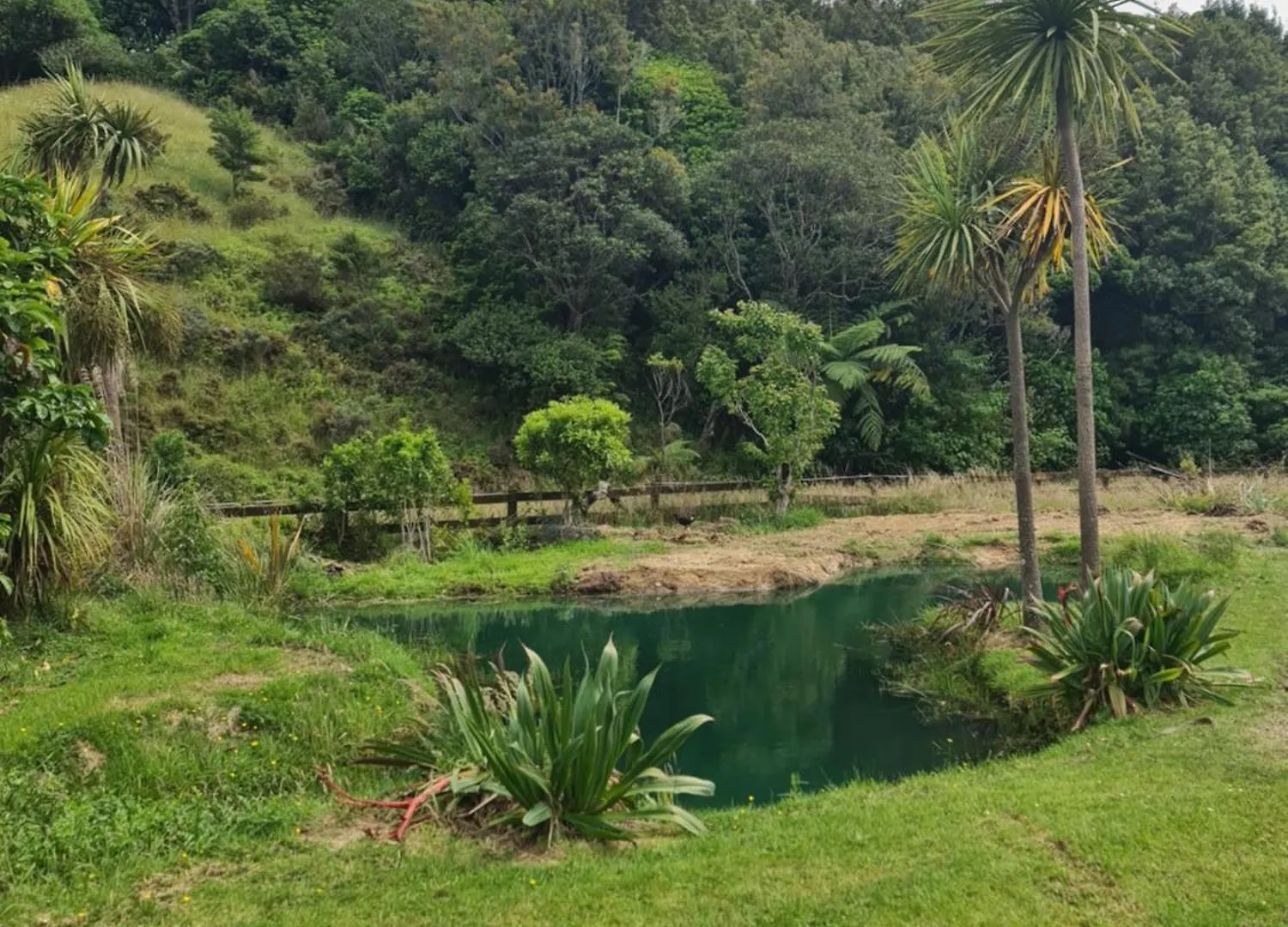 Private Country Cottage Paraparaumu